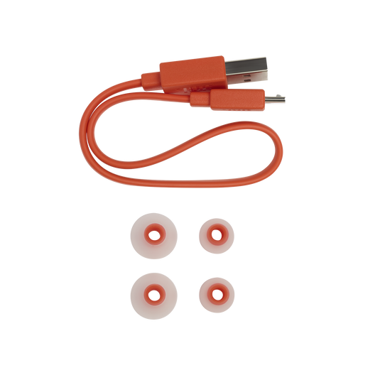 Jbl tune 120 2025 accessories